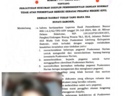 Dugaan Standar Ganda Penegakan Disiplin ASN di Samosir: Skandal Video Asusila Hanya Mutasi , dr. Bilmar Langsung Dipecat
