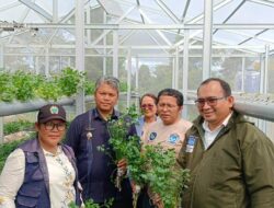 Wakil Bupati Resmikan Green House IoT: Bukti Nyata Lompatan Teknologi Pertanian Taput