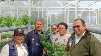 Wakil Bupati Resmikan Green House IoT: Bukti Nyata Lompatan Teknologi Pertanian Taput