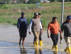Bupati Tapanuli Utara Tinjau Lokasi Bencana Puting Beliung di Tarutung dan Sipoholon