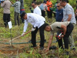 Bupati Tapanuli Utara Canangkan Penanaman Sejuta Pohon Durian untuk Pemulihan Pascabencana ‎