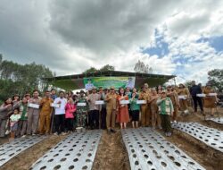Dukungan Langsung Bupati JTP: Traktor dan Irigasi Disetujui untuk Kelompok Tani Tulason Tani Sukses ‎