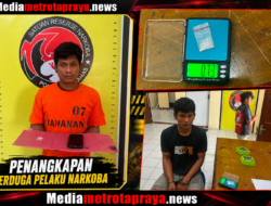 Satres Narkoba Polres Humbahas Tangkap Sopir Angkot yang Kantongi Sabu