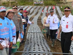 Bupati & Kapolres humbahas bergerak bersama – penamaan bawang putih serentak di ria- ria, langkah konkret menjadi sentra produksi & swasembada nasional!