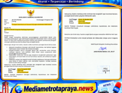 “Dua Matahari” di Pemerintahan Humbahas? Surat Wakil Bupati Tanpa Tembusan kepada Bupati Jadi Sorotan