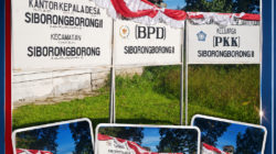 Tiga Perangkat Mogok Kerja, Keuangan Desa Siborong-Borong II Dipertanyakan: Dana Stunting hingga Biaya Operasional Disorot